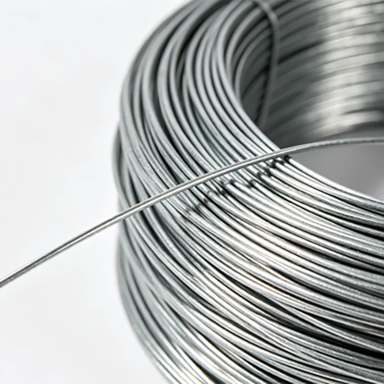Hot-Dip Galvanized Steel Wire Hot-Dip Galvanized Steel Wire